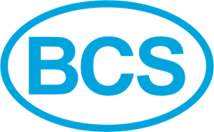 Ремонт техники BCS (БКС)