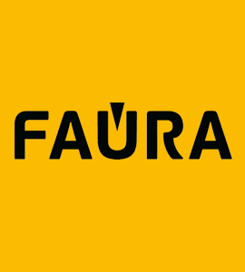 Ремонт техники FAURA (ФАУРА)