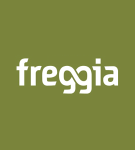 Ремонт техники FREGGIA (ФРЭДЖА)