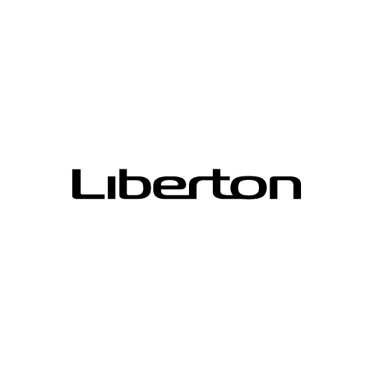 Ремонт техники LIBERTON